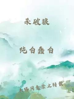 杀破狼