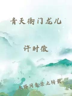 青天衙门龙儿