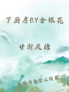 下厨房BY金银花