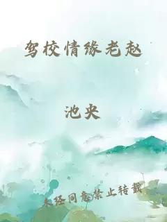 驾校情缘老赵