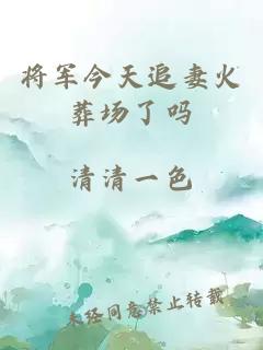 将军今天追妻火葬场了吗