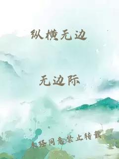 纵横无边