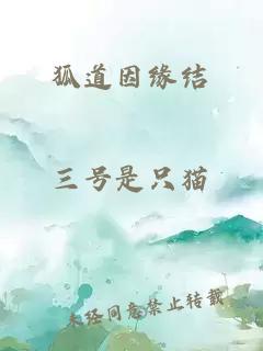 狐道因缘结