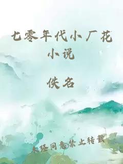 七零年代小厂花小说