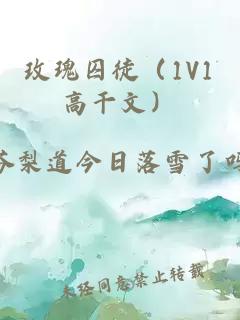 玫瑰囚徒（1V1高干文）