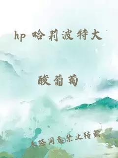 hp 哈莉波特大