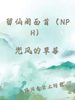 留仙阁面首（NPH）