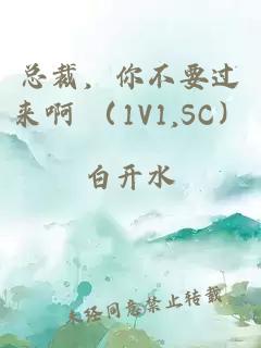 总裁，你不要过来啊 （1V1,SC）