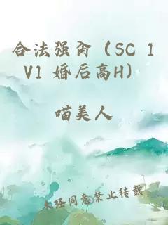 合法强肏（SC 1V1 婚后高H）