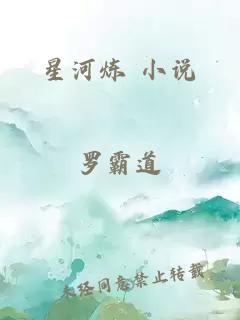 星河炼 小说