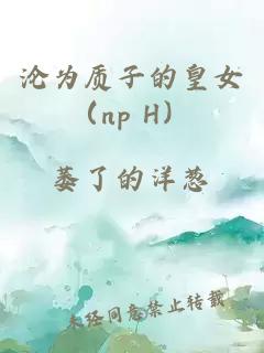 沦为质子的皇女（np H）