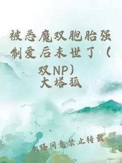 被恶魔双胞胎强制爱后末世了（双NP）