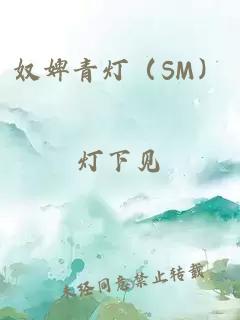 奴婢青灯（SM）