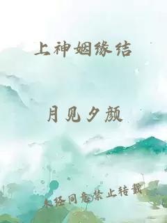 上神姻缘结