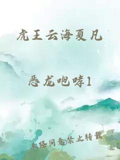 虎王云海夏凡