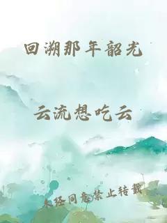 回溯那年韶光