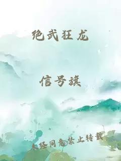 绝武狂龙