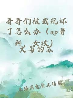 哥哥们被我玩坏了怎么办（np骨科，女攻）