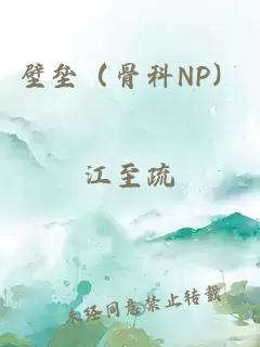 壁垒（骨科NP）