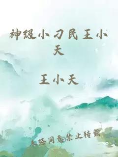 神级小刁民王小天