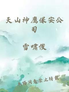 天山神鹰保安公司