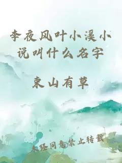 李夜风叶小溪小说叫什么名字