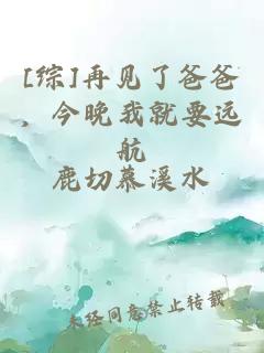 [综]再见了爸爸，今晚我就要远航