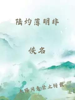 陆灼薄明非