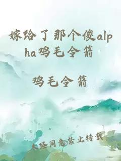 嫁给了那个傻alpha鸡毛令箭