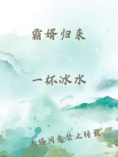 霸婿归来