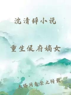 沈清辞小说