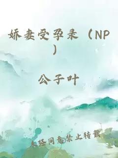 娇妻受孕录（NP）