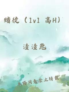 赌徒（1v1 高H）