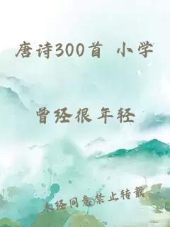 唐诗300首 小学