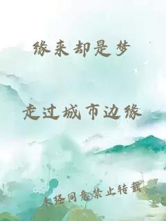 缘来却是梦