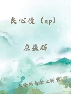 良心债（np）