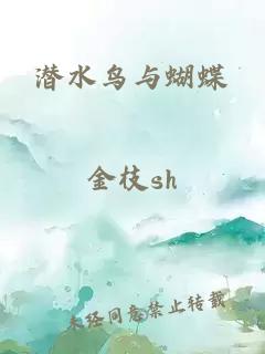 潜水鸟与蝴蝶