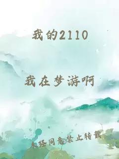 我的2110